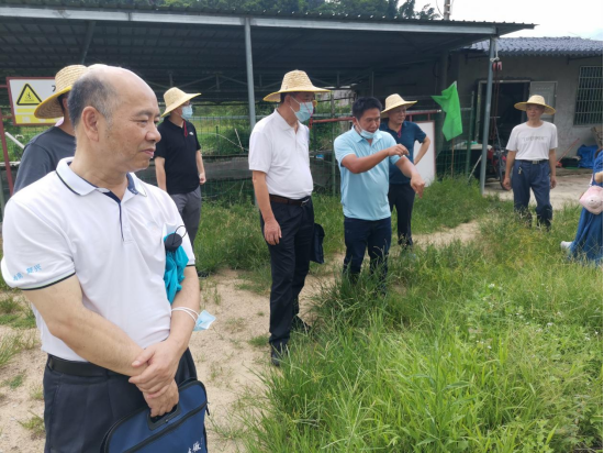 1_20220902162712.png image.png